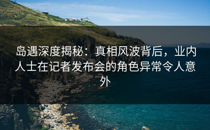 岛遇深度揭秘：真相风波背后，业内人士在记者发布会的角色异常令人意外