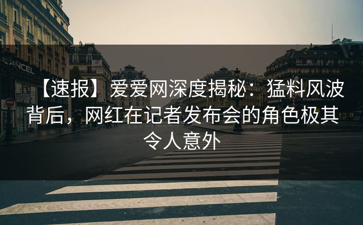 【速报】爱爱网深度揭秘：猛料风波背后，网红在记者发布会的角色极其令人意外