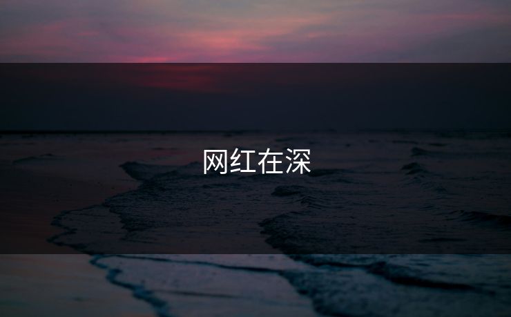网红在深