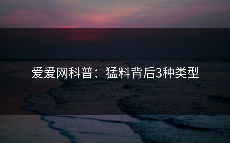 爱爱网科普：猛料背后3种类型