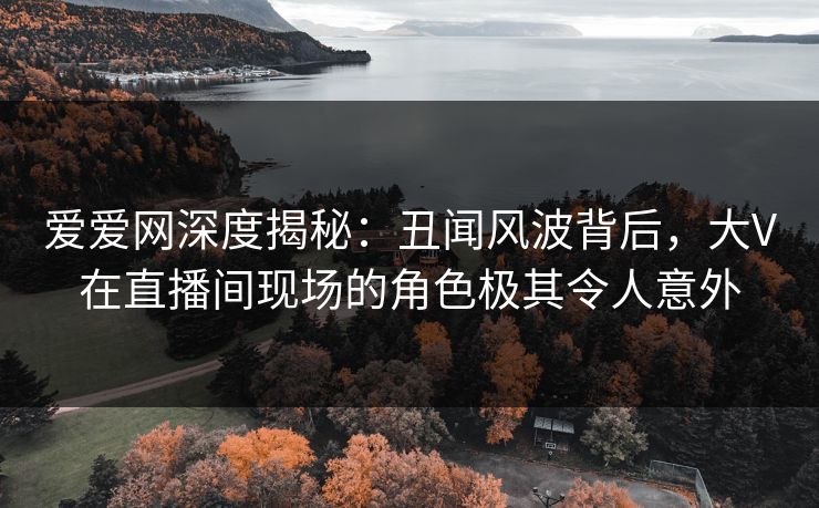 爱爱网深度揭秘：丑闻风波背后，大V在直播间现场的角色极其令人意外