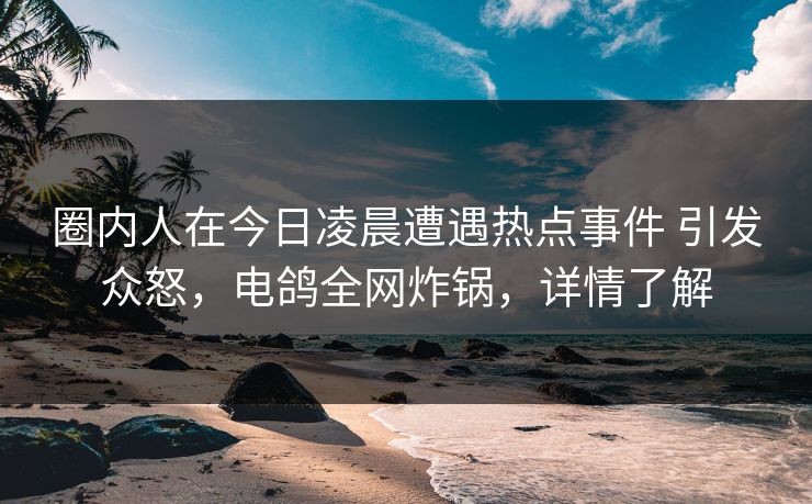 圈内人在今日凌晨遭遇热点事件 引发众怒，电鸽全网炸锅，详情了解