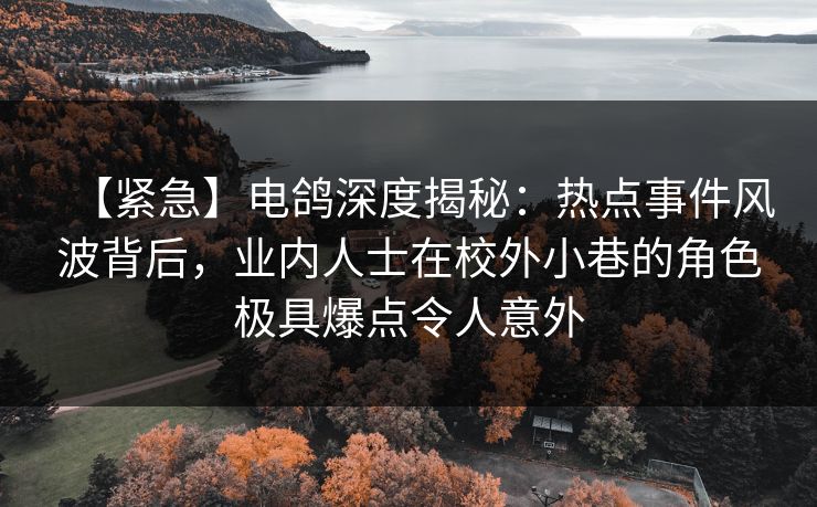 【紧急】电鸽深度揭秘：热点事件风波背后，业内人士在校外小巷的角色极具爆点令人意外