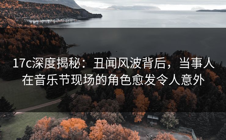 17c深度揭秘：丑闻风波背后，当事人在音乐节现场的角色愈发令人意外