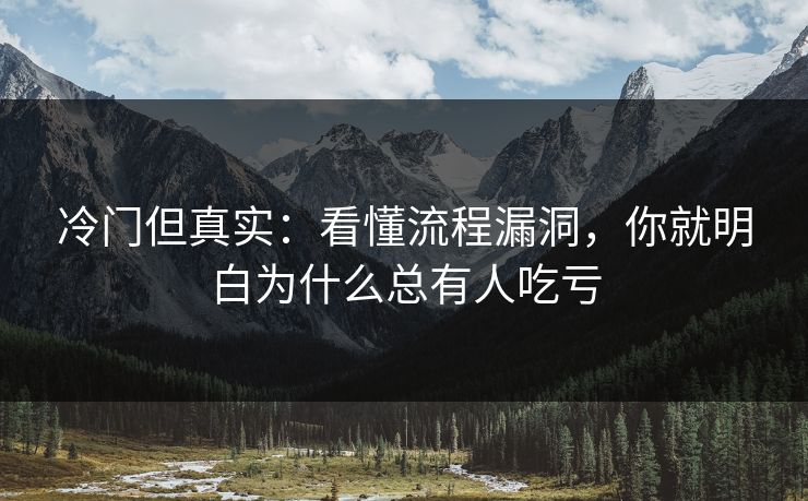 冷门但真实：看懂流程漏洞，你就明白为什么总有人吃亏