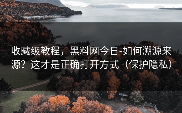 收藏级教程，黑料网今日-如何溯源来源？这才是正确打开方式（保护隐私）