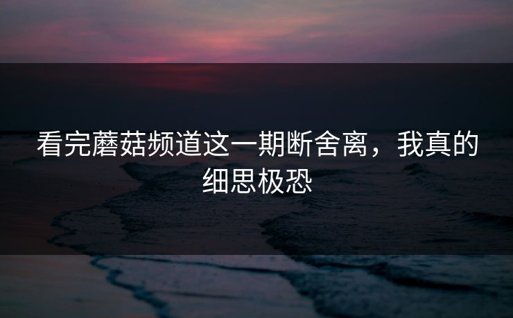 看完蘑菇频道这一期断舍离，我真的细思极恐